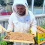 Le miel et les abeilles chez Vivolum